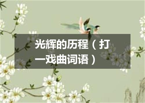 光辉的历程（打一戏曲词语）