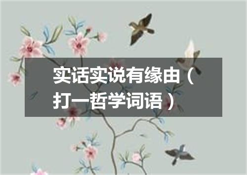 实话实说有缘由（打一哲学词语）