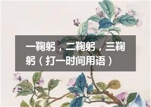 一鞠躬，二鞠躬，三鞠躬（打一时间用语）