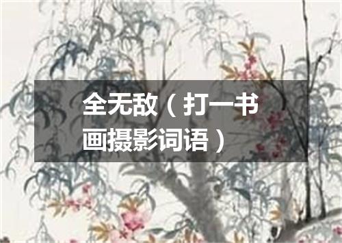 全无敌（打一书画摄影词语）