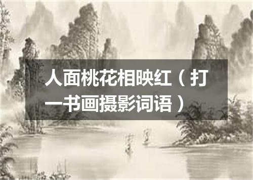 人面桃花相映红（打一书画摄影词语）