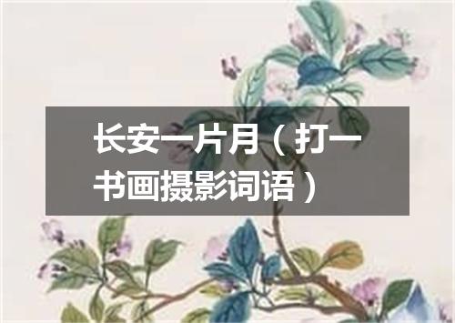 长安一片月（打一书画摄影词语）