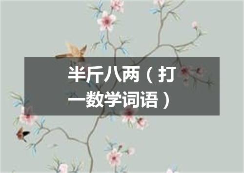 半斤八两（打一数学词语）