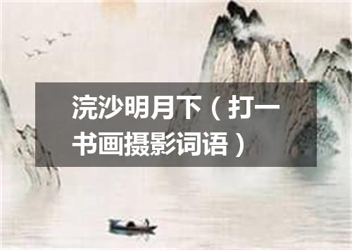 浣沙明月下（打一书画摄影词语）