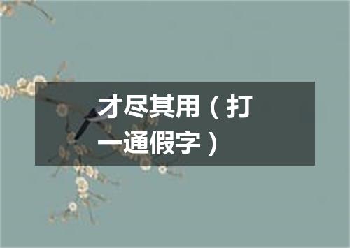 才尽其用（打一通假字）