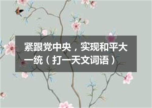 紧跟党中央，实现和平大一统（打一天文词语）