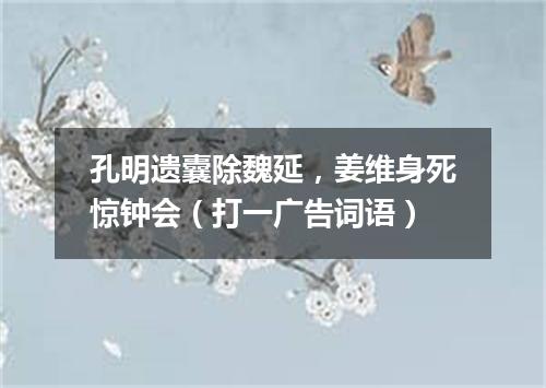 孔明遗囊除魏延，姜维身死惊钟会（打一广告词语）