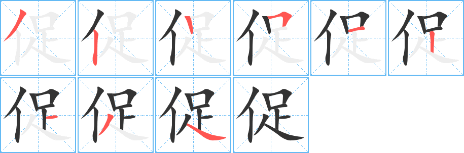 促的笔画顺序字笔顺的正确写法图