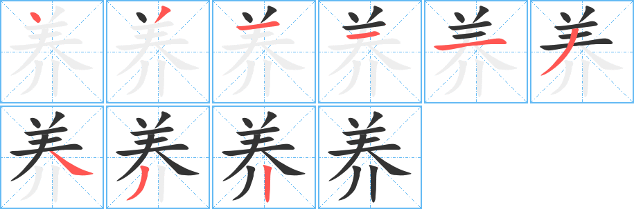 养的笔画顺序字笔顺的正确写法图