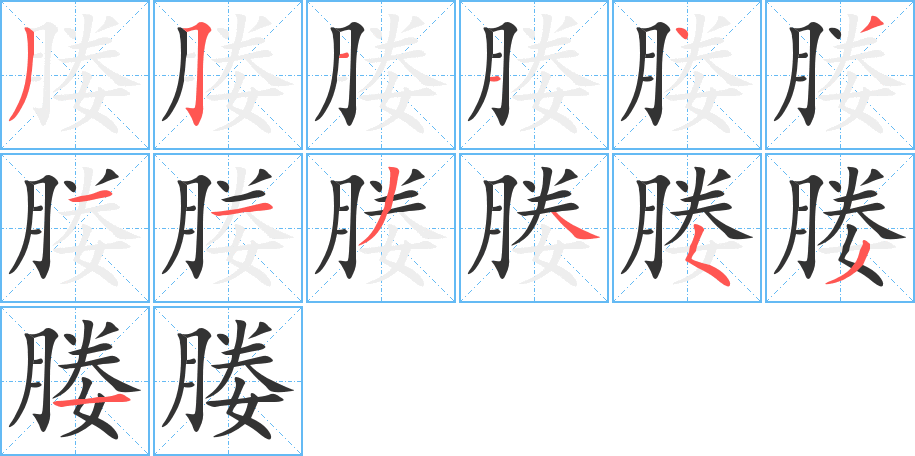 媵的笔画顺序字笔顺的正确写法图