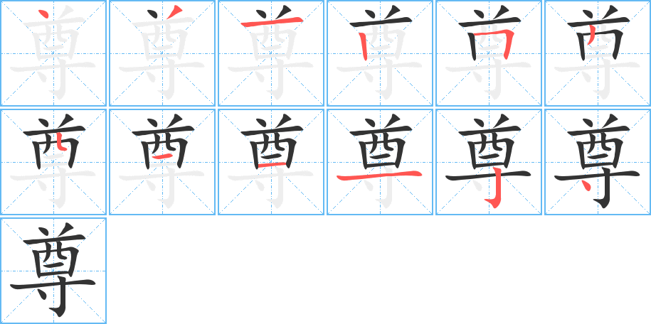 尊的笔画顺序字笔顺的正确写法图