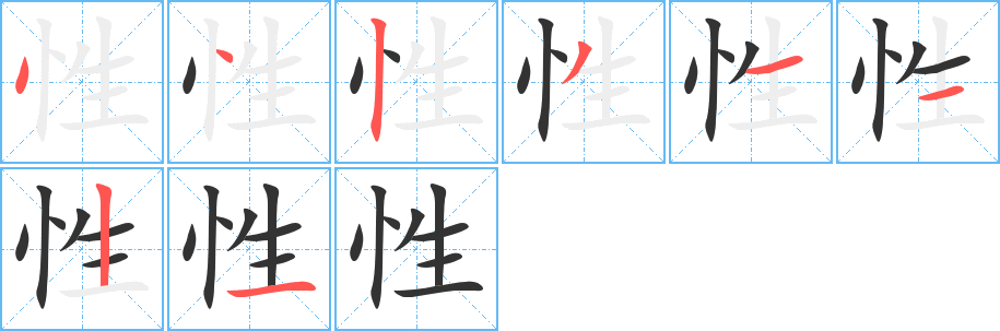 性的笔画顺序字笔顺的正确写法图