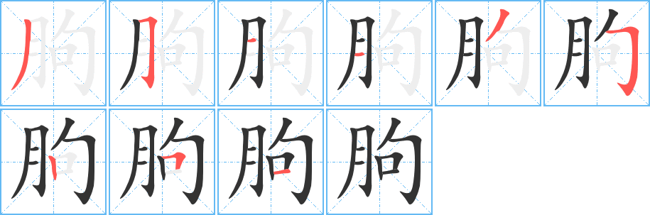 朐的笔画顺序字笔顺的正确写法图