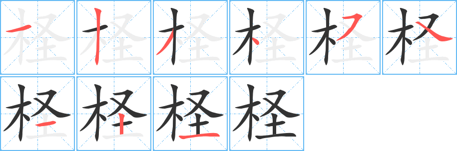 柽的笔画顺序字笔顺的正确写法图