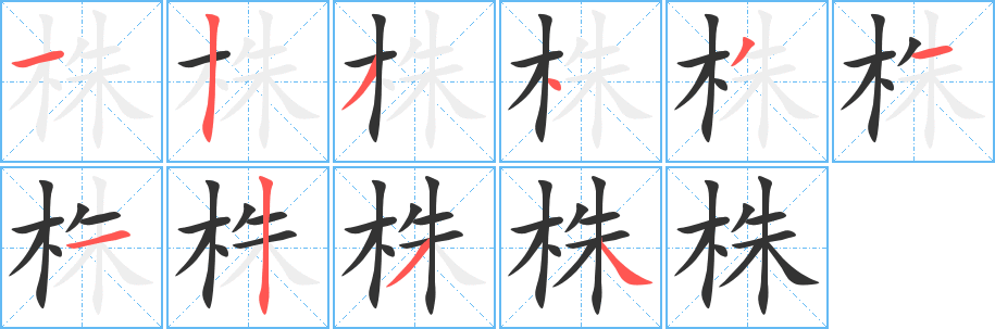 株的笔画顺序字笔顺的正确写法图