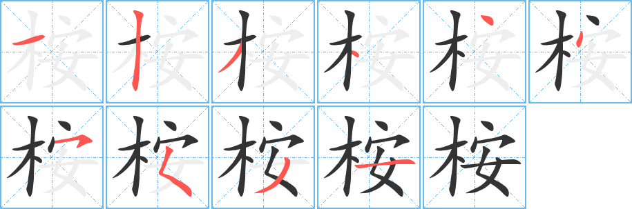 桉的笔画顺序字笔顺的正确写法图