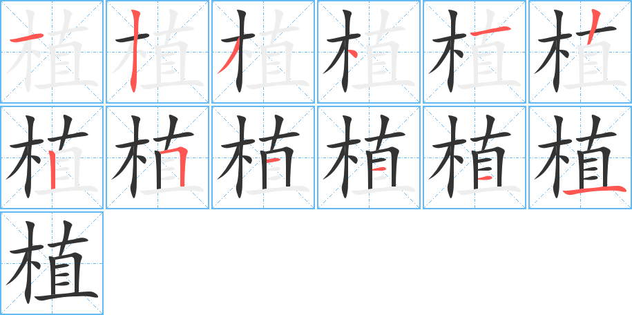 植的笔画顺序字笔顺的正确写法图