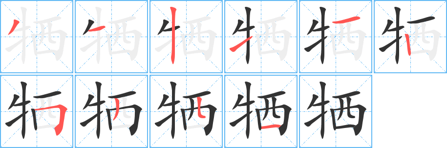 牺的笔画顺序字笔顺的正确写法图