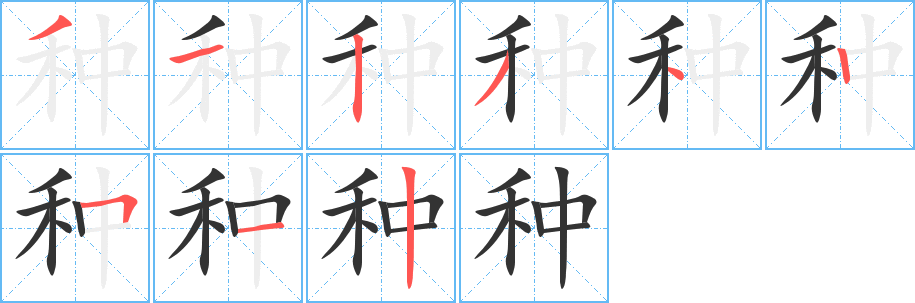 种的笔画顺序字笔顺的正确写法图