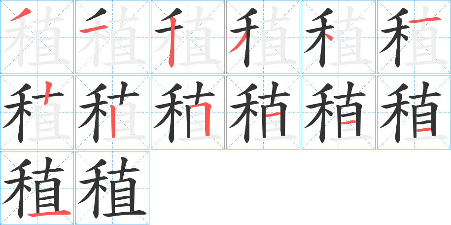 稙的笔画顺序字笔顺的正确写法图