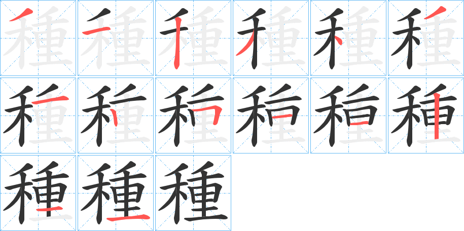 種的笔画顺序字笔顺的正确写法图