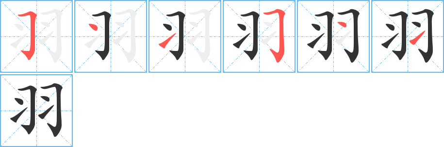 羽的笔画顺序字笔顺的正确写法图