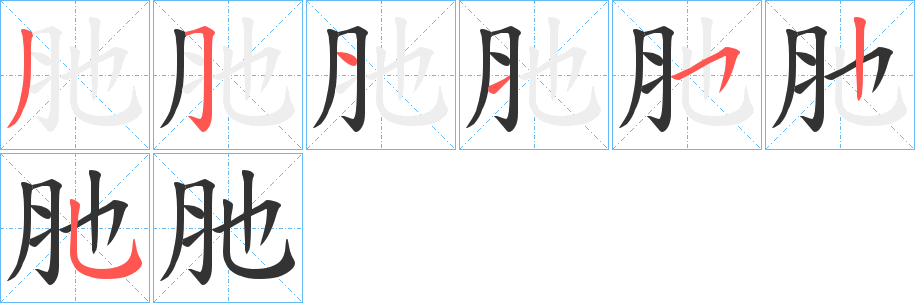 肔的笔画顺序字笔顺的正确写法图