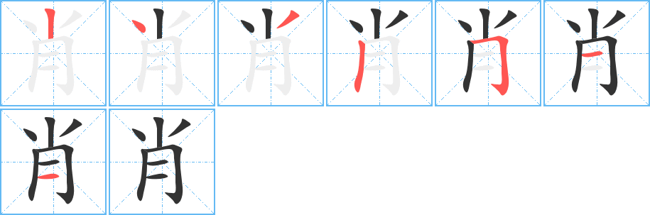 肖的笔画顺序字笔顺的正确写法图