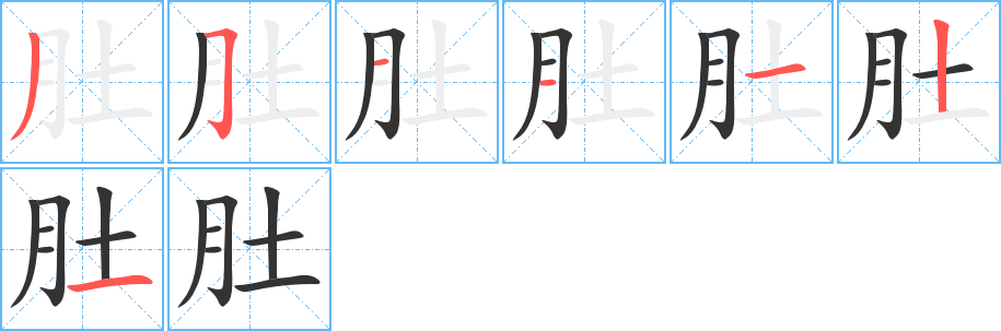 肚的笔画顺序字笔顺的正确写法图