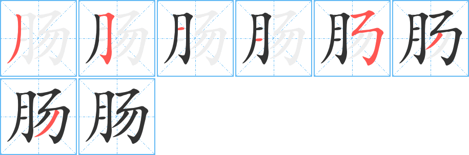 肠的笔画顺序字笔顺的正确写法图