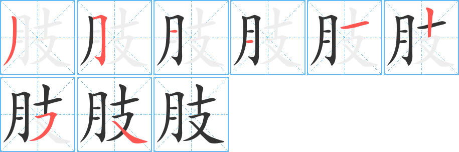 肢的笔画顺序字笔顺的正确写法图