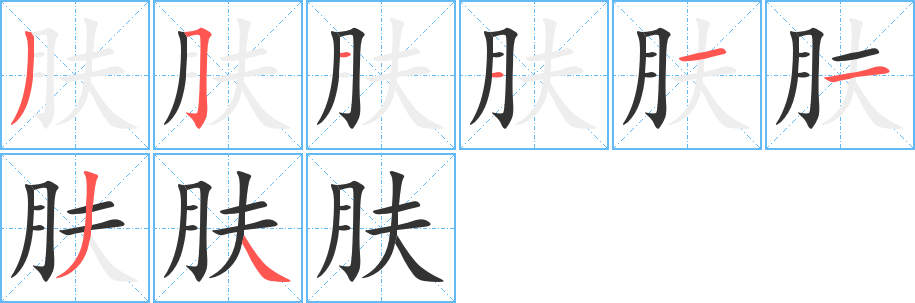 肤的笔画顺序字笔顺的正确写法图