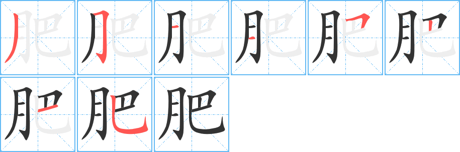 肥的笔画顺序字笔顺的正确写法图