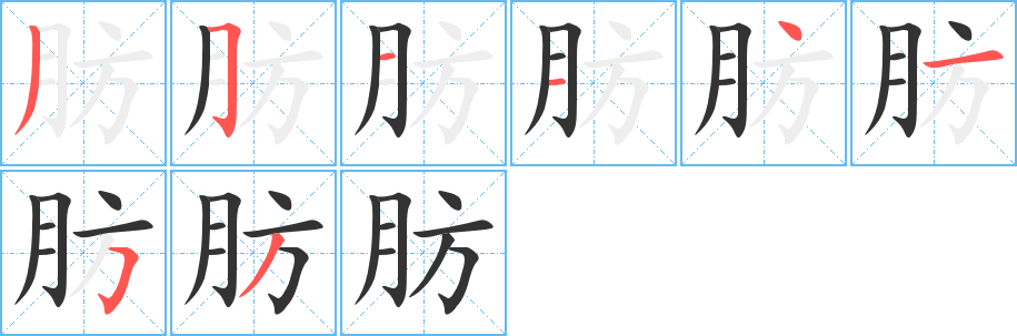 肪的笔画顺序字笔顺的正确写法图