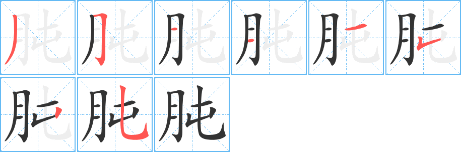 肫的笔画顺序字笔顺的正确写法图