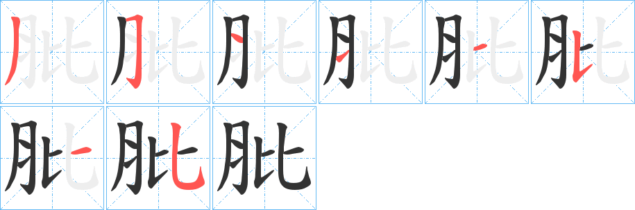 肶的笔画顺序字笔顺的正确写法图