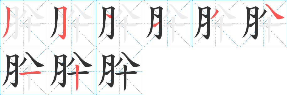 肸的笔画顺序字笔顺的正确写法图