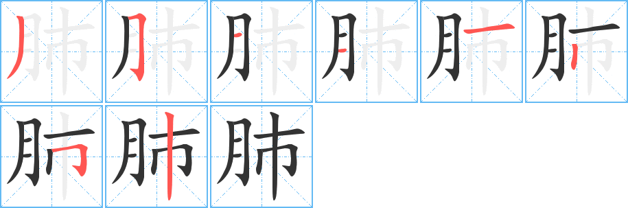 肺的笔画顺序字笔顺的正确写法图