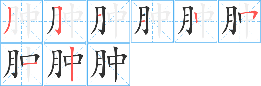 肿的笔画顺序字笔顺的正确写法图