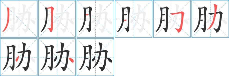 胁的笔画顺序字笔顺的正确写法图