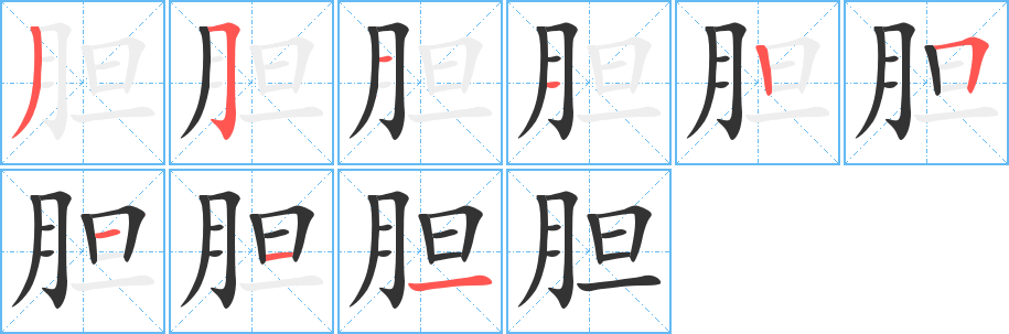 胆的笔画顺序字笔顺的正确写法图