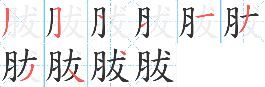 胈的笔画顺序字笔顺的正确写法图