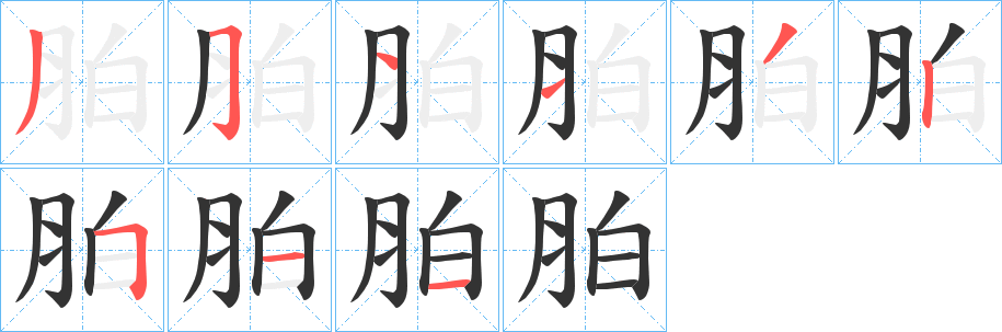 胉的笔画顺序字笔顺的正确写法图