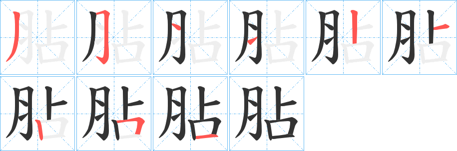 胋的笔画顺序字笔顺的正确写法图