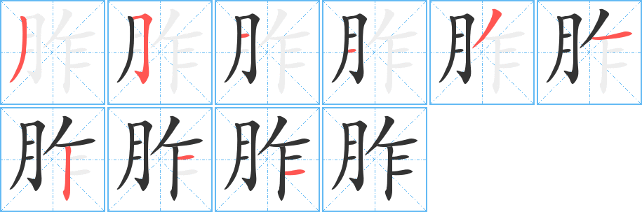 胙的笔画顺序字笔顺的正确写法图