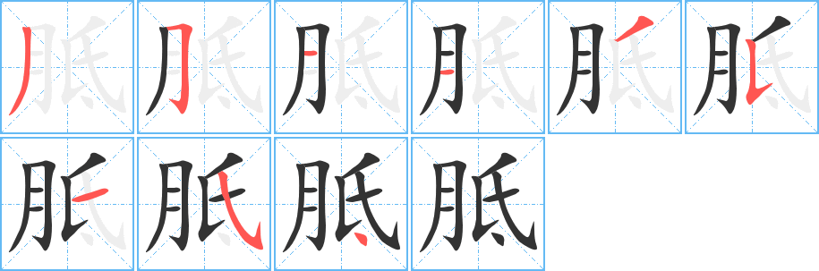 胝的笔画顺序字笔顺的正确写法图