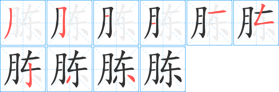 胨的笔画顺序字笔顺的正确写法图