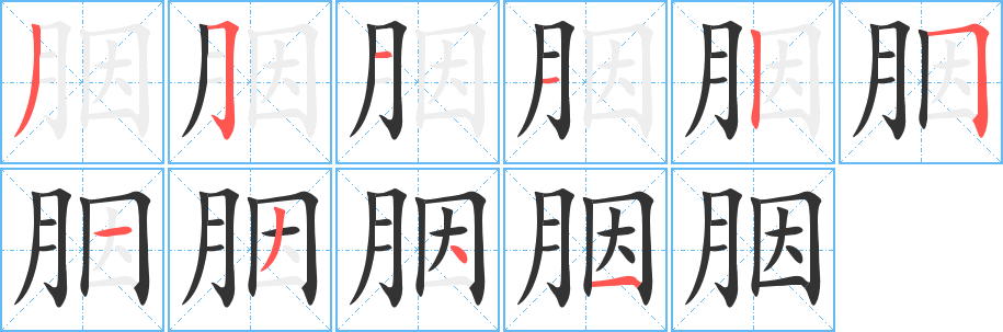 胭的笔画顺序字笔顺的正确写法图