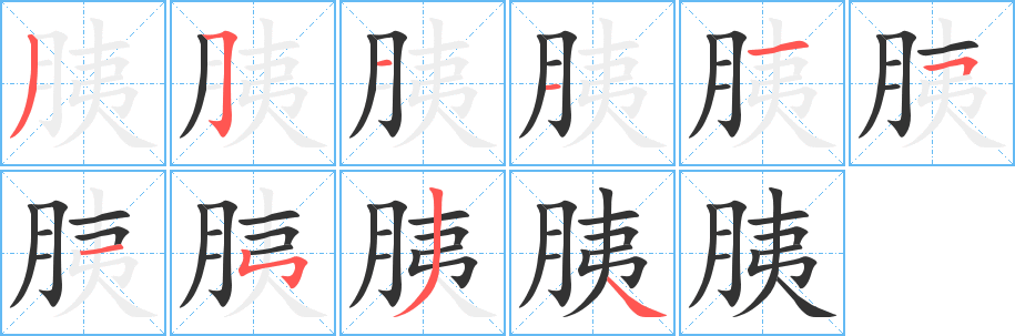 胰的笔画顺序字笔顺的正确写法图