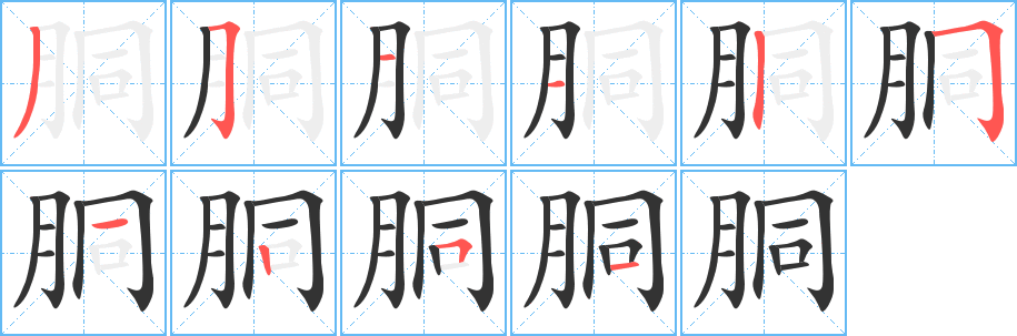 胴的笔画顺序字笔顺的正确写法图